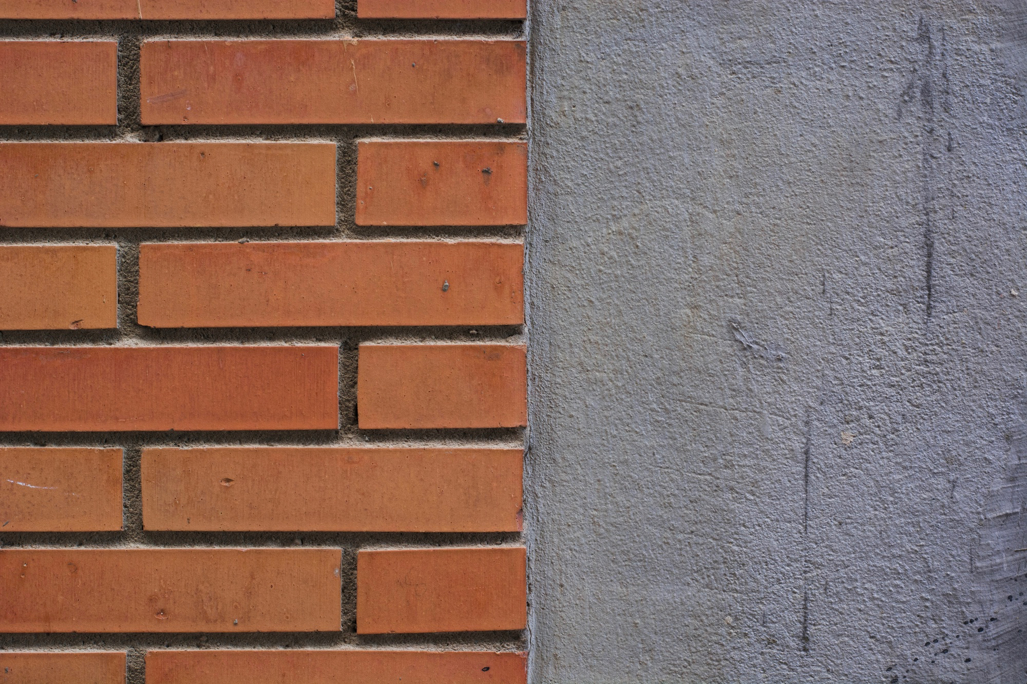 Project Image 1